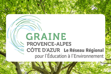 Logo Graine Provence Alpes ôte d'Azur sur le portail de l'emploi associatif Le Mouvement Associatif PACA